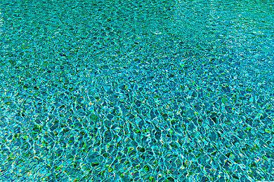 EA并不关心微软是否成功收购动视暴雪